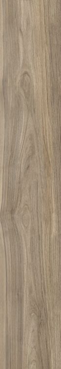 Harper Natural 10 x 60